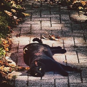 Meet your Posher, Angela